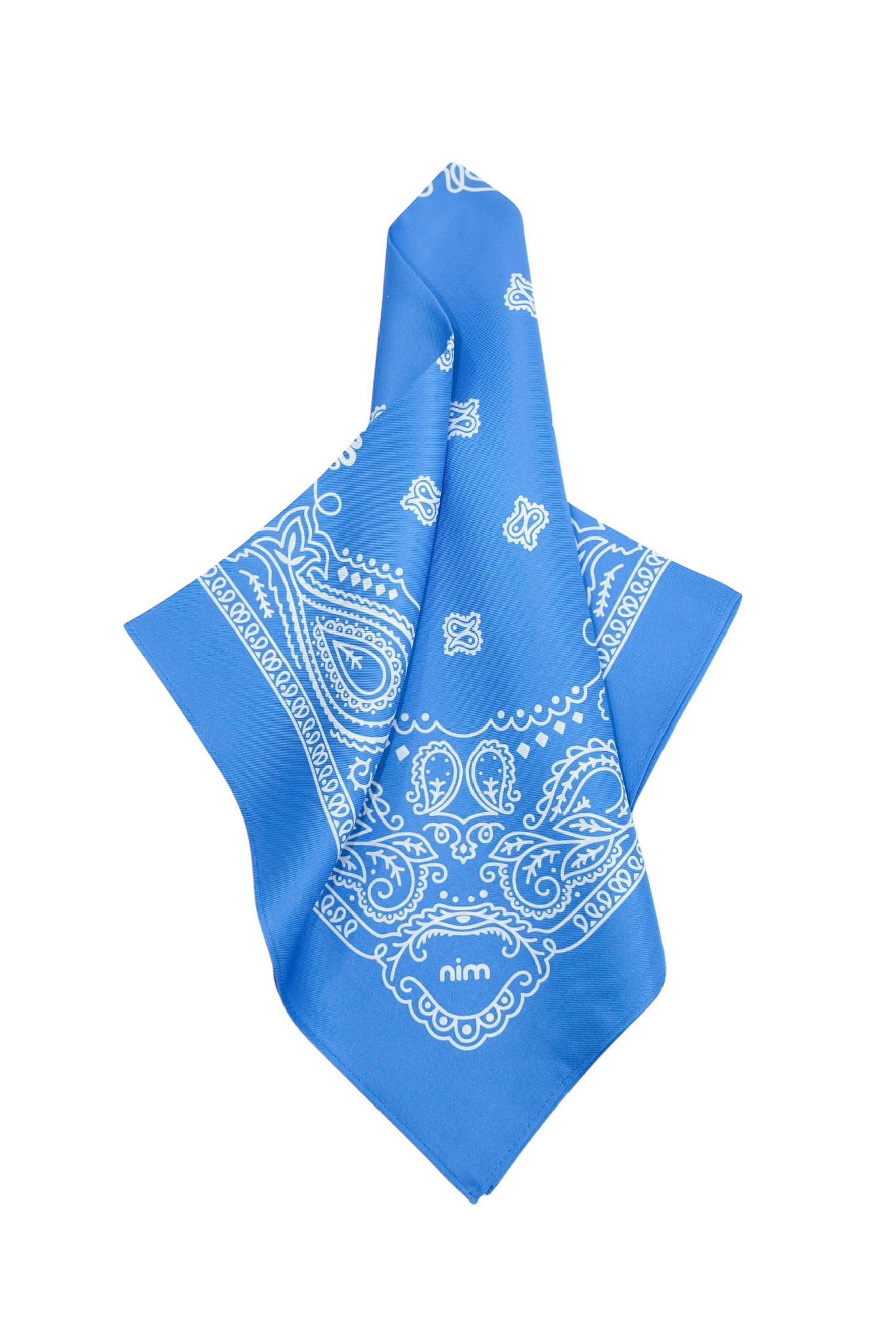 Silk Bag Scarf - Blue