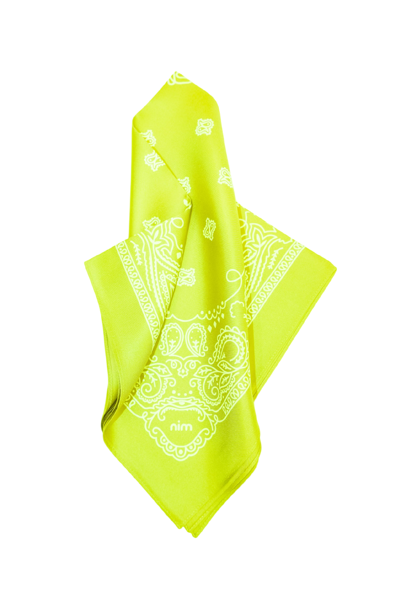 Silk Bag Scarf - Neon